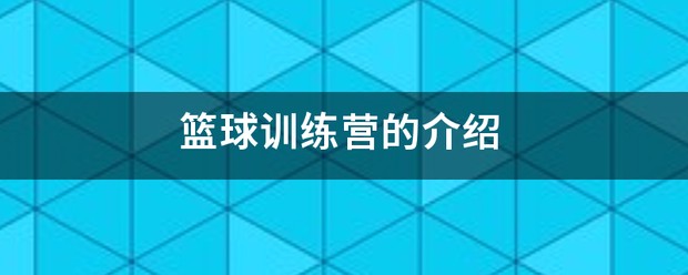 专业篮球训练营多少钱